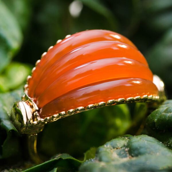 Bague Coloquinte – Image 4
