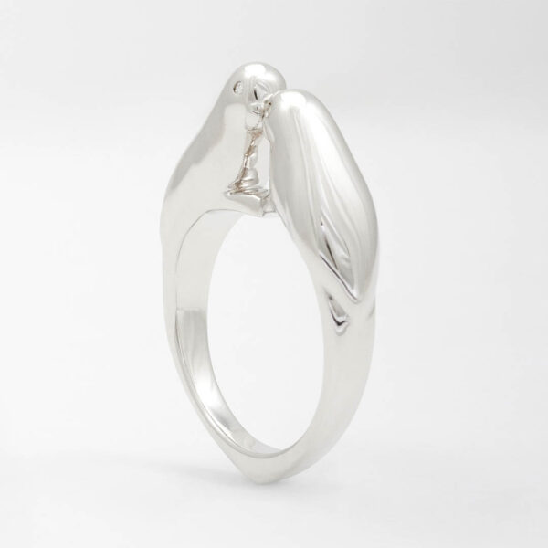 Bague Les Oiseaux du Paradis